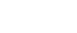 TONY ROMA'S BORN AMERICAN SINCE 1972